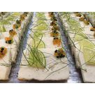Terrine traiteur buffet