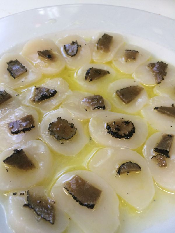 Carpaccio de Saint Jaques